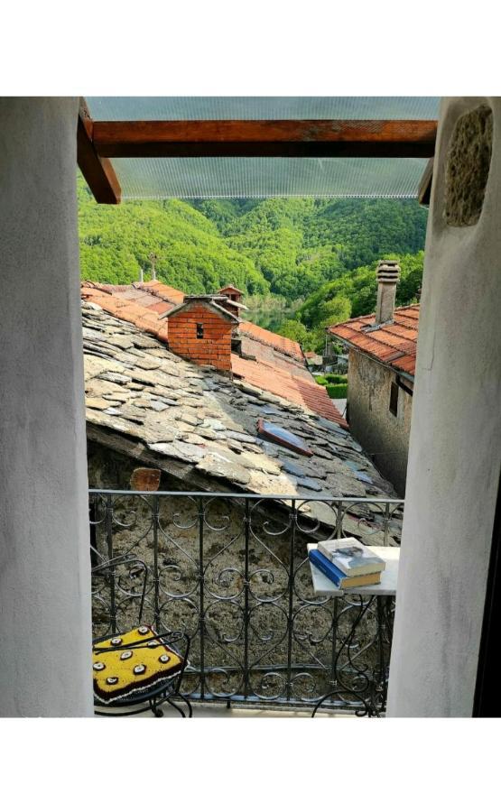 Casa Vacanze Al Colletto - Con Terrazza Panoramica In Centro Storico Vagli di Sotto 外观 照片